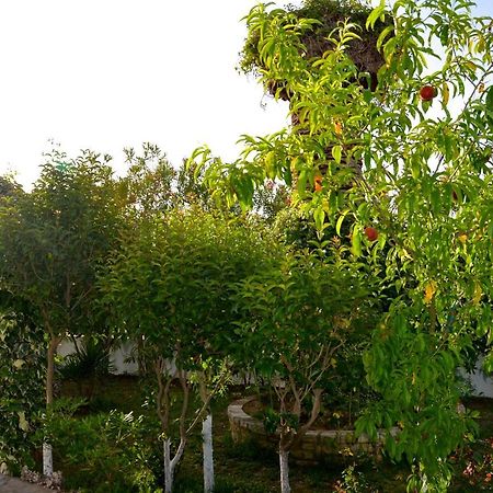 로다 Kostas' Garden 아파트 외부 사진