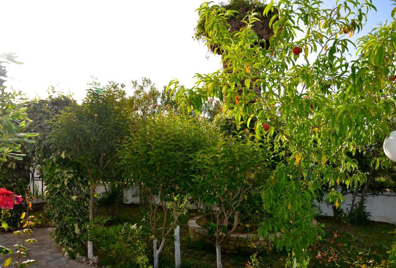 로다 Kostas' Garden 아파트 외부 사진
